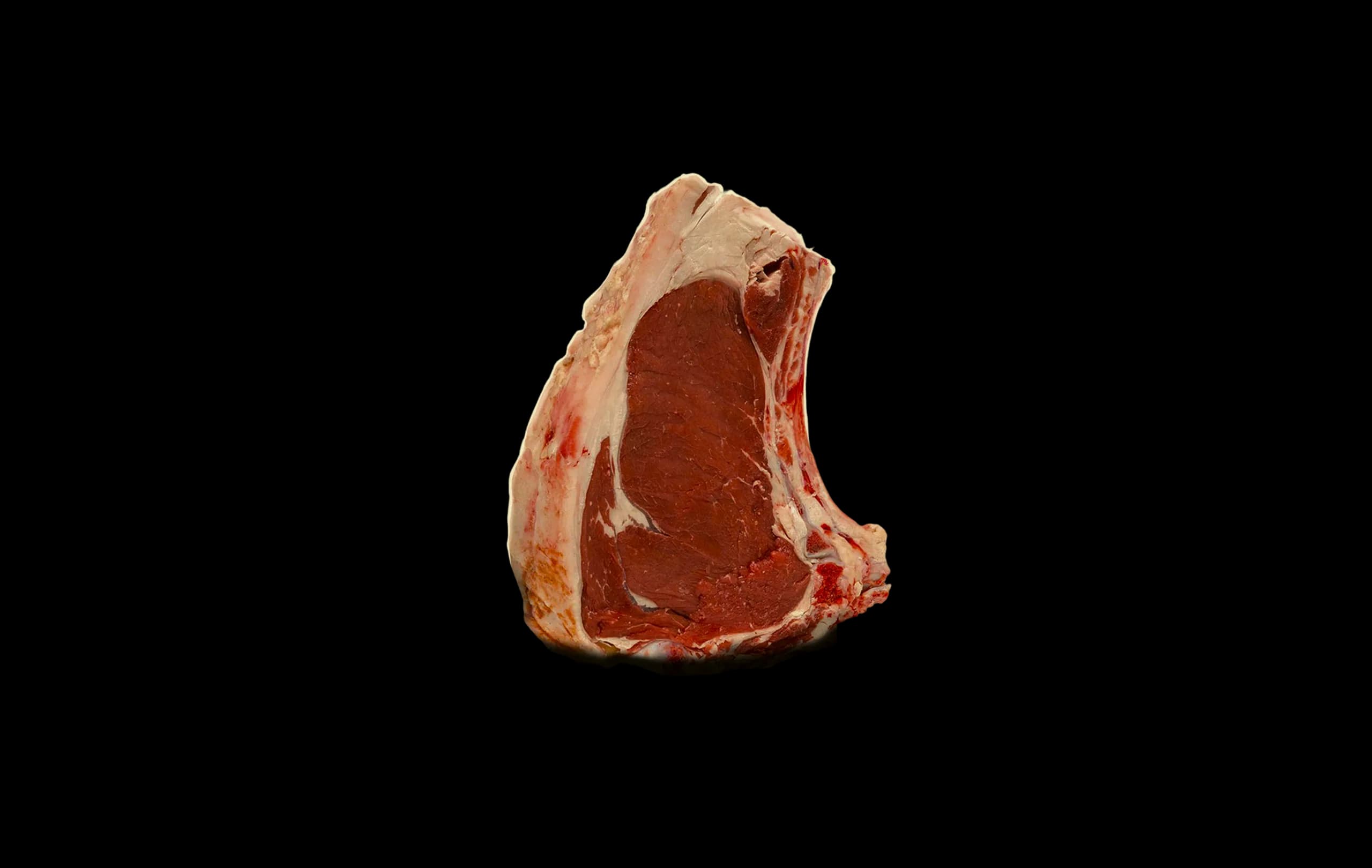 Costata di Chianina